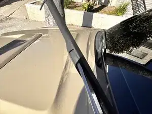 iWFdckDJMmW2ScWq