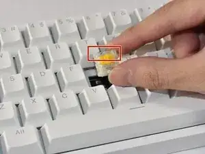 jCNsYL5fjSR6QoZv