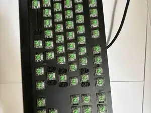 jSSIsRPIlOnHnKrS