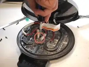 kIaTNYZQwYW4vht1