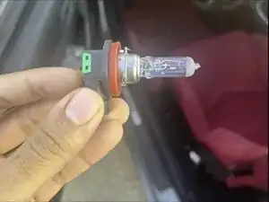 Fog Light Bulbs