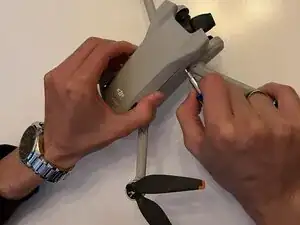 Rear Arm