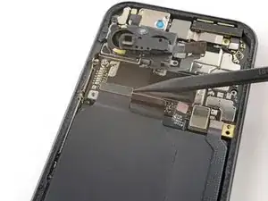 ntP1LoCOeZMhA2Jx