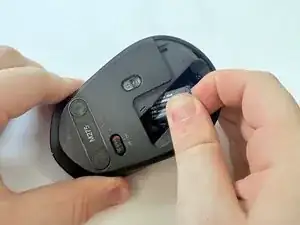 onRNmMPtFxy6Dfxi