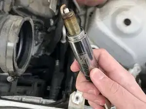 ovPAbsPVr5UX4ZHp