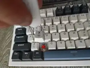 oyxZ3IqPJjKaV6kL