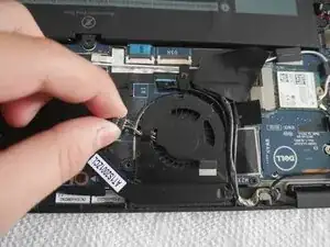 Fan and Heat Sink