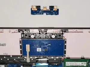 pGtMTauPVBROubCa