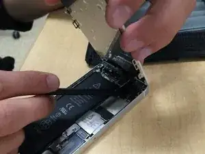 pYju16sJVrHLFWVv
