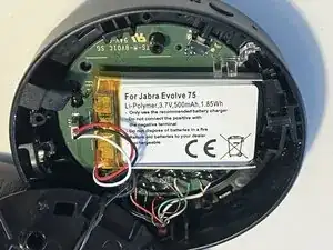 pgjnfjLpBtDc3JVf