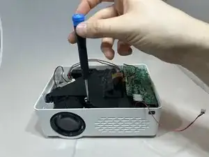 qLtBpAAOXGBogILg
