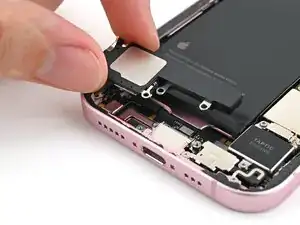 qSm21eu1qxvNyjZ5