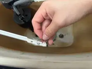 qUADJoXntlqfEmQt