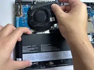 Fan
