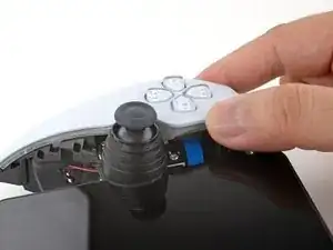 rUbWjCNCHaPVhtEl