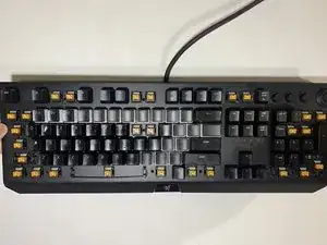rsfkviXUm2PHRekZ