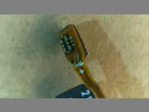 rslVoOaSTyppPWTJ