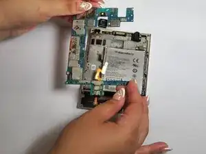 sKbDQedW6QMZWCw6
