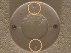 tNWZqcS3Awdha1bj
