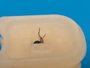 tXN1graSNoNDMOqh