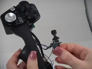 tqXTUNMxxUpNLhDD
