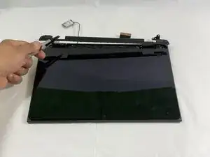 trXvwKT1SnZFraqp