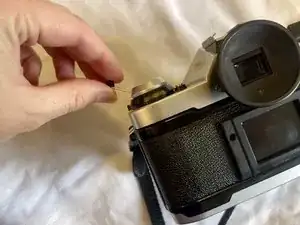 Light Seals