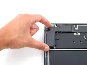 uVwpdRrdEXSpnVjD