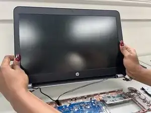 Display Assembly