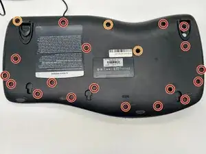 wAhwHM25Xv1ivpEn