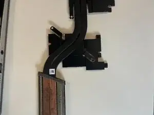 wuZQCMdtAdJLtwqa