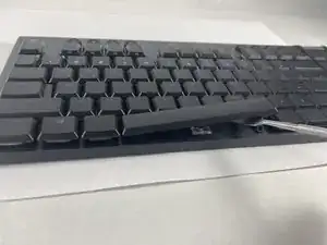 xZh4ldlyuTWKyfCm