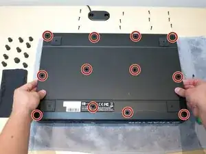xdyFryvRNp6uwEat