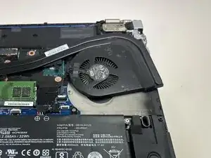 Fan