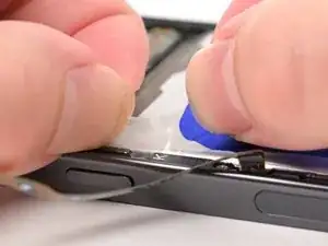 xw5MHBScd245dhy6
