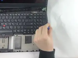 y2bognmWFIJTLyTs