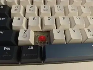 yHRGWb3Qy3VcVcZL