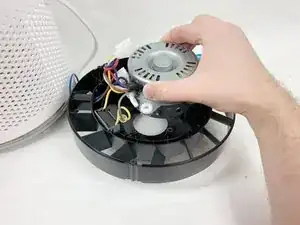 yhXohVL6viMKm5MI