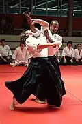 l'aikido (o aiquidô, aikidô)