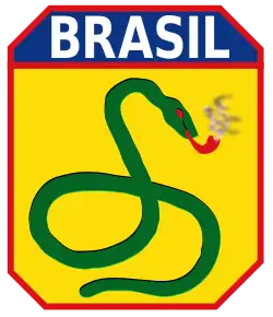 Brasão da Força Expedicionária Brasileira à Segunda Guerra Mundial, mostrando uma cobra fumando cachimbo. Na época, dizia-se que enviar uma força militar brasileira à Segunda Guerra Mundial era tão impossível quanto uma cobra fumar. Baseado nesta frase, foi criado o brasão.