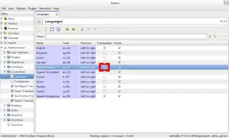 Configure o idioma como traduzível