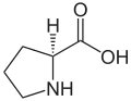 Prolina (Pro/P)