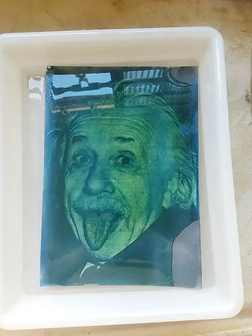 Primeiro banho de água