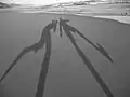 jugar con las sombras,