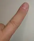 el dedo de la mano