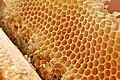 Favo de mel