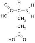 Ácido glutâmico (Glu/E)