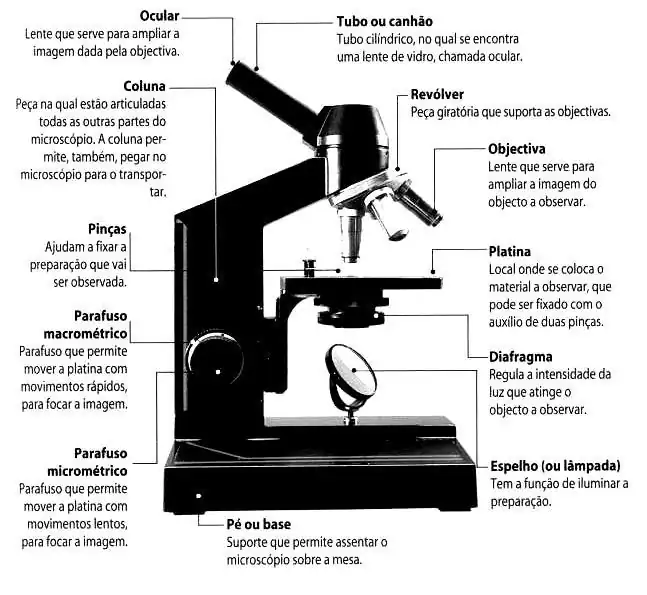 Partes do microscópio óptico.
