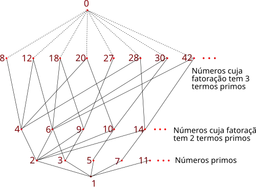 Diagrama ilustrando a ordenação dos números inteiros pela divisibilidade