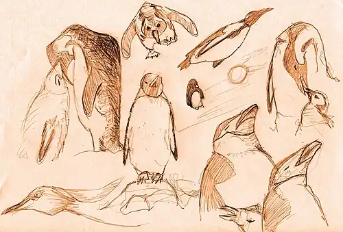 Ir para o Índice do curso